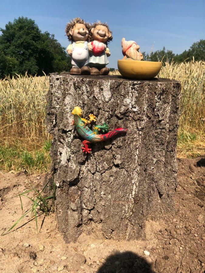 Appartment Doellinger Messe Fraenkisches Seenland Schwabach Esterno foto